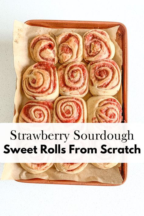 Strawberry Sourdough Sweet Rolls From Scratch Strawberry Sourdough Bread, Sweet Sourdough Bread, Strawberry Sourdough, Sourdough Strawberry, Sourdough Desserts, Berry Cream Cheese, Sweet Rolls Recipe, Strawberry Pizza, Rolls From Scratch