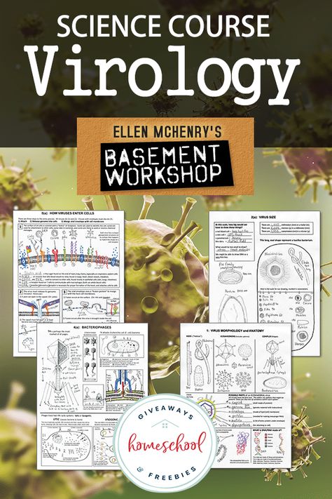 Science Course - Virology from Ellen McHenry Homeschool Nook, Homeschool Units, Biology Activity, Biology Classroom, General Science, High School Biology, Biology Lessons, Cell Biology, High School Science