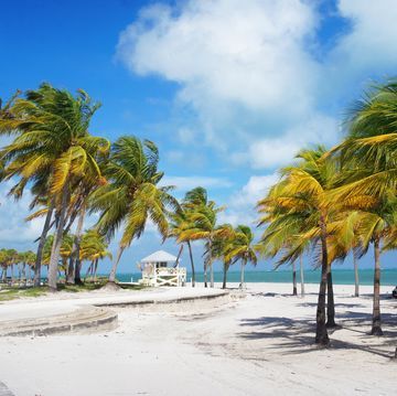 Crandon park Beach of Key Biscayne, Miami Best Pumpkin Decorating Ideas, Crandon Park, Honeymoon On A Budget, Water Bungalow, Pumpkin Decorating Ideas, Dream Honeymoon, Sandals Resorts, Key Biscayne, Burning Questions