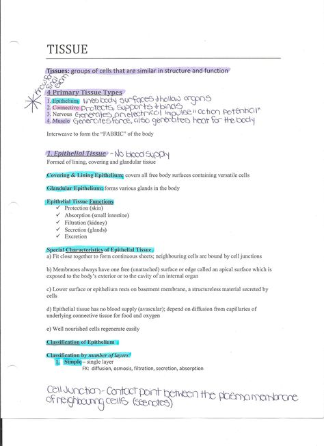 Tissue Anatomy And Physiology, Anatomy And Physiology Tissues, Anatomy Tissue Notes, Nervous Tissue Notes, Physiology Notes, Skincare Knowledge, Pathophysiology Nursing, Nursing School Studying Cheat Sheets, Anatomy Notes