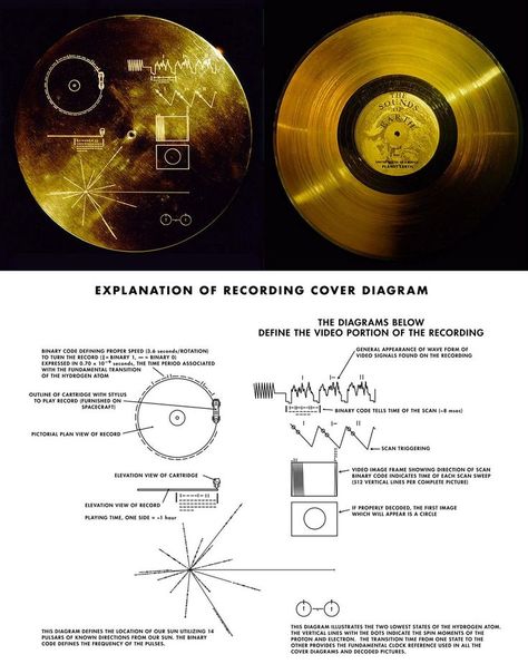 The Voyager Golden Record (1977) Space And Time Aesthetic, The Golden Record, Voyager Golden Record, Voyager Spacecraft, Golden Record, Voyager 1, Astronomy Science, Space Facts, Astronomy Art