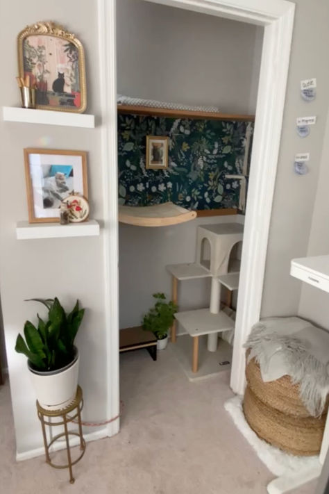 Ever thought of turning an unused closet into a cat playground? I did! From a cat climbing wall to a jute bean bag, here's how I created the ultimate cozy cat space. 🐱 #CatHome #PetRoomInspo Closet Cat Room, Cat Apartment Ideas Small Spaces, Cat Living Room Ideas, Cat Corner Ideas Spaces, Cat Closet Ideas, Diy Cat Room, Cat Home Ideas Indoor, Cat Room Ideas Small Spaces, Cat Nook