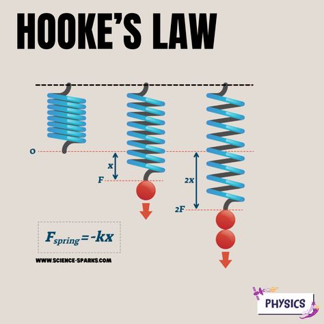 Hooke's Law states that the force exerted by a spring is proportional to its extension or compression. #physics #hook #law #science #education #evolvingknowledge #learn #university #spring #hook Hookes Law Physics, Spring Force Physics, Force Physics, Teaching Physics, Study Physics, Physics Projects, Science Revision, Physics Lessons, How To Study Physics