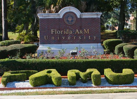 FAMU Famu College, Best Nursing Schools, Education Degree, Class Action Lawsuits, College Campus, University Campus, State Of Florida, Alma Mater, University Student