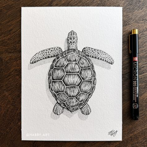 Steve Habersang (@habby_art) • Instagram photos and videos Pen Illustration, The Shallows, The Angle, Creative Illustration, The Pen, Stippling, Art Instagram, Sea Turtle, The Details