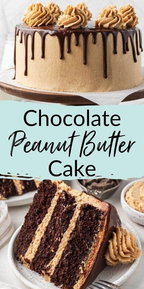 This three-layer chocolate peanut butter cake from Live Well Bake Often features moist chocolate cake, peanut butter frosting, and silky chocolate ganache. If you love chocolate peanut butter desserts, you’re going to adore this cake! This cake is a chocolate and peanut butter lover's dream! Try this today. Chocolate Peanut Butter Cake Recipe, Chocolate Cake Peanut Butter, Peanut Butter Cake Recipe, Live Well Bake Often, Cake Peanut Butter, Peanut Butter Icing, Chocolate Peanut Butter Desserts, Chocolate Peanut Butter Cake, Butter Cake Recipe