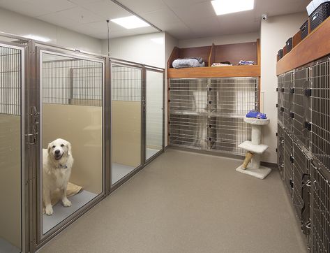 Animal Hospital Design Best Practices Case Study: Veterinary Emergency Center of Manchester Veterinary Design, Veterinary Doctor, Vet Clinic, Vet Clinic Design Exterior, Vet Clinic Architecture, Animal Hospital Design, Veterinary Hospital Design, Vet Hospital, Vet Hospital Design