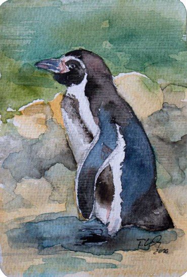 Pinguin Aquarelle | Bilder, Aquarelle vom Meer & mehr - von Frank Koebsch Penguin Art, Owl Painting, Work With Animals, Polar Bears, Landscape Artist, Dog Paintings, Watercolor Bird, Wild Life, Watercolor Animals