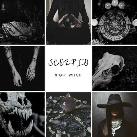 Scorpio night witch aesthetic Scorpio Art, Night Witches, Zodiac Signs Scorpio, Scorpio Horoscope, Scorpio Season, Catty Noir, Scorpio Moon, Zodiac Society, Zodiac Star Signs