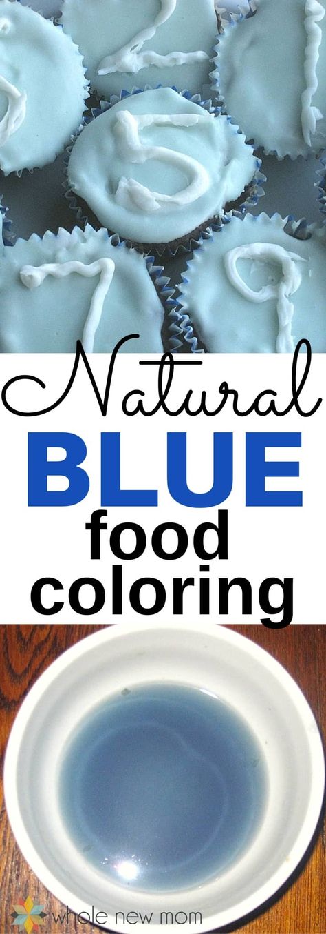 How to make Natural Blue Food Coloring. You'll be amazed at what food the blue color comes from! #keto #AIP #paleo #wholenewmom Natural Blue Food Coloring, Easter Fudge, Amazing Deserts, Colored Frosting, Mint Fudge, Smurfs Party, Baking Lessons, Cabbage Juice, Blue Frosting