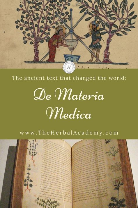 De Materia Medica: The Ancient Text that Changed the World | Herbal Academy | De Materia Medica, Latin for “On Medical Material” is a surviving text from the first century written by Pedanius Dioscorides (c. 40-90 CE). Healing Herb Garden, Tree Medicine, Medicinal Herbs Remedies, Medicinal Flowers, Ancient Text, Product Inventory, Herbal Academy, Herbal Education, Botanics Skin Care