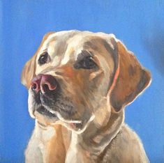 Silver Lab Puppies, Painting Dogs, Labrador Retriever Art, Pet Paintings, Labrador Art, Labs Art, Yellow Labrador Retriever, 강아지 그림, Labrador Retriever Puppies