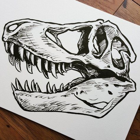 SUEEEEEEEE Dino Skull, Jurassic Park Tattoo, T Rex Skull, Australian Tattoo, Pentel Brush Pen, Dinosaur Sketch, Dinosaur Tattoos, Dinosaur Drawing, Desenho Tattoo