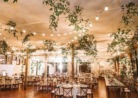 Indoor Garden Wedding Reception, Indoor Fall Wedding, Hanging Lights Wedding, Garden Winter, Indoor Garden Wedding, Wedding Reception Lighting, Wedding Hall Decorations, Indoor Wedding Receptions, Garden Wedding Reception