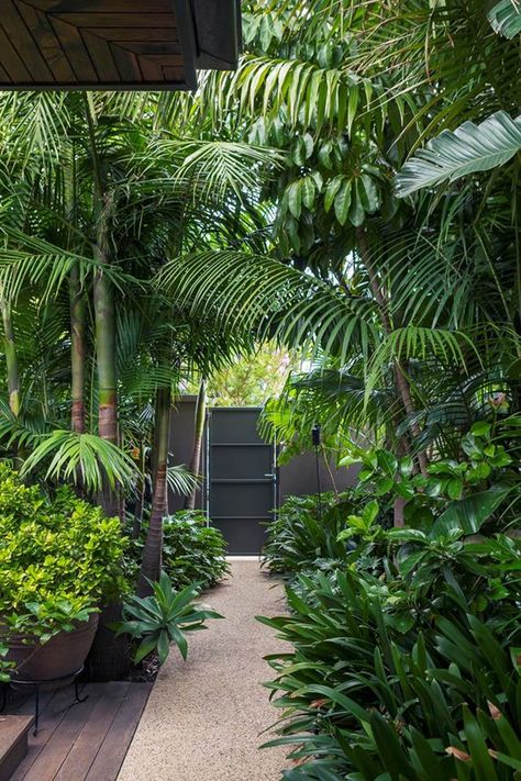 From contemporary walkways to meandering trails, you're sure to find inspiration for your own landscape in these 14 charming garden path designs. Tropical Landscape Design, Taman Diy, Tropical Garden Design, Tropical Backyard, Desain Lanskap, Garden Care, Tropical Landscaping, Landscaping Plants, Tropical Garden