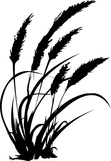 farm wheat farming grass - Free SVG Image & Icon. Plant Sillouhette, Farming Tattoo, Wheat Silhouette, Cricut Images Free Svg, Wheat Farming, Wall Silhouette, Plant Silhouette, Svg Images For Cricut, Free Svg Images