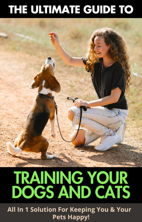 UNLOCK THE SECRETS OF PERFECT PET TRAINING BONUS: You will get my 2 BEST SELLING G … Mutual Respect, Cat Training, Animal Behavior, Pet Training, How To Train, Dog Behavior, Dogs And Cats, Dog Training Tips, How To Train Your