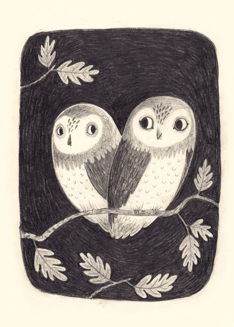 Night Owl Illustration, Flying Owl Illustration, Chuck Groenink, Owl Illustration Art, Owls Illustration, Meg Hunt, Barn Owl Illustration, Cute Owl Illustration, Pretty Owl