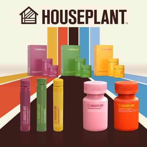 Seth Rogan, Seth Rogen, Magazine Website, Identity Package, Brand Board, Color Inspo, Brand Experience, House Plant, Packaging Design Inspiration