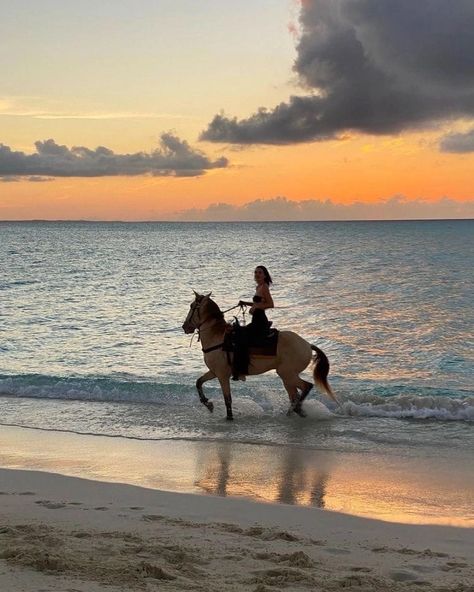 Horse Couple, Horsey Life, Horse Riding Aesthetic, Equestrian Aesthetic, Horse Aesthetic, Equestrian Life, Horse Life, Wall Arts, Horse Love