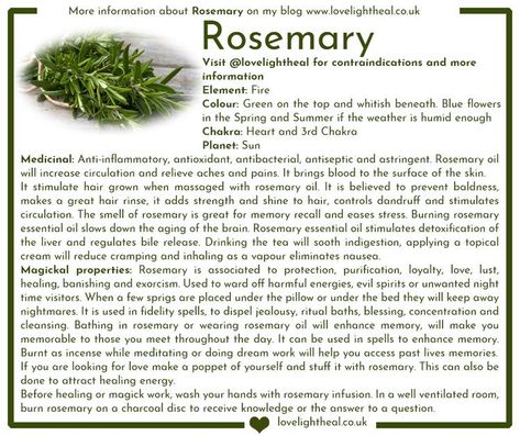 Rosemary Healing Properties, Magical Properties Of Rosemary, Rosemary Incense Meaning, Rosemary Herb Magic, Horehound Magical Properties, Rosemary Properties Magic, Rosemary Benefits Healing Herbs, Rosemary Meaning Witchcraft, Rosemary Uses Witch