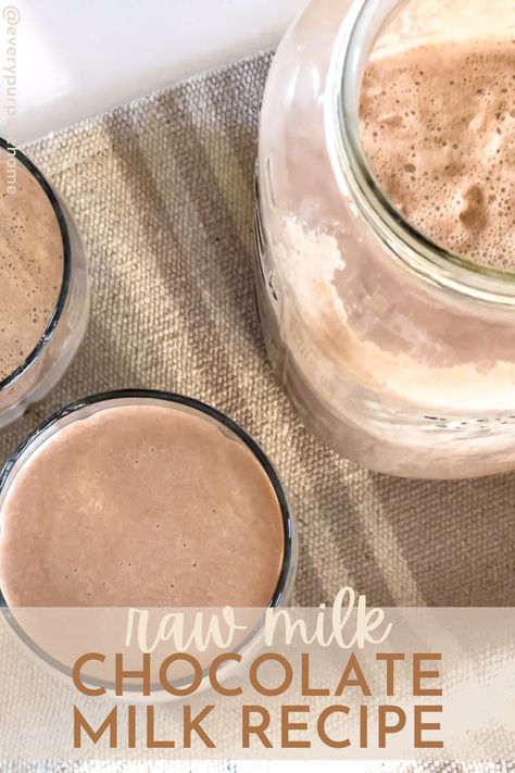 raw milk Homemade Chocolate Milk Recipe, Healthy Chocolate Milk Recipe, Recipes That Use A Lot Of Milk, Milk Recipes Ways To Use, How To Make Milk Chocolate Homemade, Best Non Dairy Milk, Healthiest Milk Alternative, Raw Chocolate Milk, Chocolate Milk Recipe