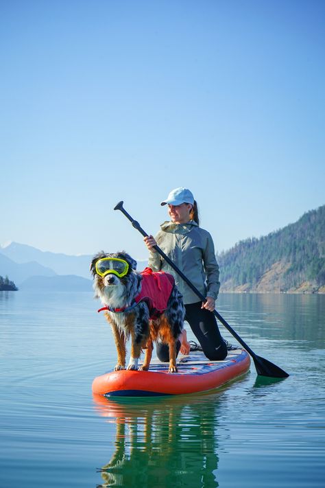 Travel With Pets, Hiking With Dog, Hiking Dog, Dog Hiking, Dog Lifestyle, Adventure Dog, Active Dogs, Sup Stand Up Paddle, Dog Mommy