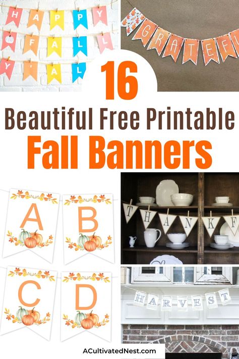 16 Beautiful Free Printable Fall Banners- Add a touch of autumn charm to your space with these stunning free printable fall banners. From rustic to elegant, these banners will transform your décor with fall vibes. | #freePrintables #printable #fall #fallDecorating #ACultivatedNest Thanksgiving Banner Printable Free, Free Fall Banner Printable, Pumpkin Patch Banner Free Printable, Free Printable Autumn Wall Art, Happy Fall Yall Sign, Free Fall Printables, Free Thanksgiving Printables, Fall Leaf Garland, Free Banner