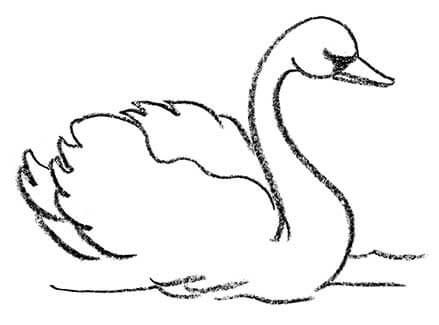 How to Draw Birds - Kid Can Doodle Swan Doodle Art, Swan Drawing Sketches Easy, Swan Drawing Easy, Swan Doodle, Swan Sketch, How To Draw Birds, Swan Drawing, Draw Birds, Birds For Kids