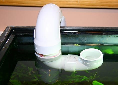 Easy DIY automatic water change system for less then $50 - DIY Aquarium Projects - Aquatic Plant Central Aquarium Sump, Aquarium Maintenance, Tropical Fish Aquarium, Diy Aquarium, Diy Tank, Nature Aquarium, Aquatic Plant, Saltwater Tank, Aquarium Filter