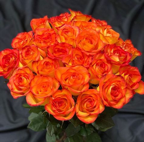 Orange Roses Aesthetic, Sunflowers And Lilies, Orange Rose Bouquet, Luxury Roses, Long Stem Roses, Nice Flowers, People Who Care, Orange Party, Rose Flower Pictures