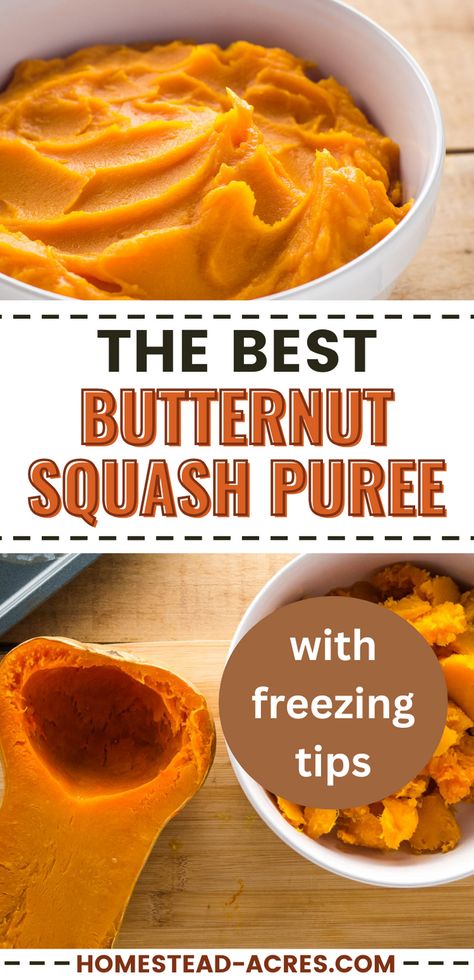 Do you love veggie dishes? Try this butternut squash puree recipe. It's an ideal addition to fall side dishes and fits perfectly into your Thanksgiving recipes. The guide offers clear steps to cook and puree butternut squash, making your squash recipes a breeze. Explore this easy-to-follow guide that includes handy freezing tips, ensuring your squash puree is ready whenever you need it. Don't miss out on making this delicious vegetable dish part of your fall recipes lineup! Freezing Butternut Squash, Fall Side Dishes, Butternut Squash Baby Food, Frozen Butternut Squash, Easy Butternut Squash, Butternut Squash Puree, Squash Puree, Butternut Squash Recipes, Side Dish Recipes Easy