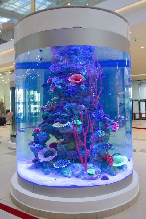 Unique Fish Tank Ideas, Fish Tank In Bedroom, Home Fish Tank Ideas, Aquarium Home Decor, Guppy Tank, Home Fish Tank, Unique Fish Tanks, Fish Tank Ideas, Zimmer Diy