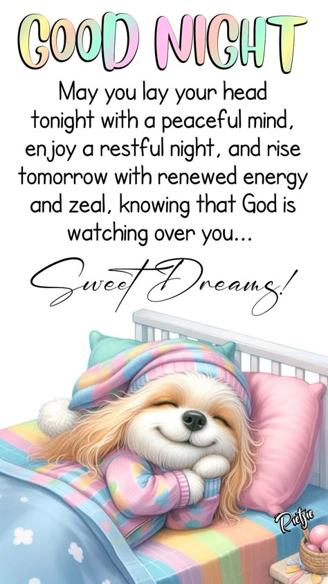 Goodnight Gif Sweet Dreams Good Night, Goodnight Cute Images, Funny Good Night Pictures, Sweet Dreams Messages, Night Hug, Goodnight Blessings, Weekly Motivation, Scotties Dog, Sweet Good Night Messages