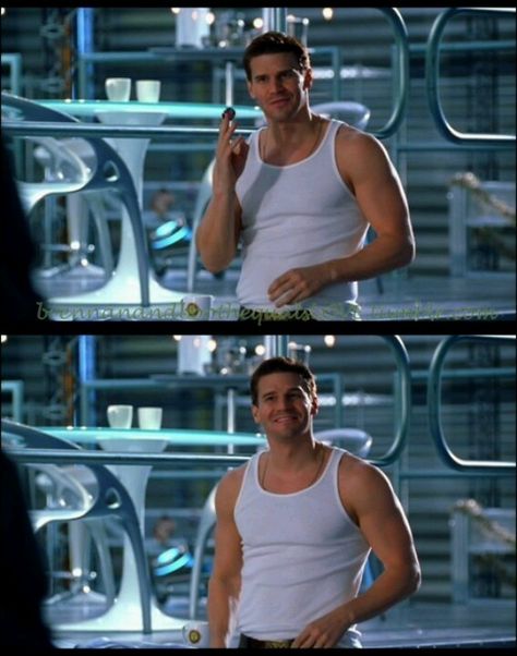 David Boreanaz Bones, David Boreanaz Angel, Bones Series, Kathy Reichs, Bones Quotes, Seeley Booth, Bones Tv Series, Booth And Bones, Booth And Brennan