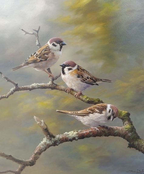 Birds In Nature Photography, Sparrow Painting, Aesthetic Cute Wallpaper, Beak Mask, Bird Pet, Sparrow Art, Bird Painting Acrylic, Bird Paintings On Canvas, Sparrow Tattoo