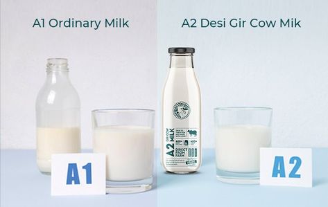 A2 Milk Benefits, A2 Milk, Milk Benefits, Increase Breastmilk, Cardiac Disease, Casein Protein, Migraine Prevention, Stomach Ulcers, Mother Milk