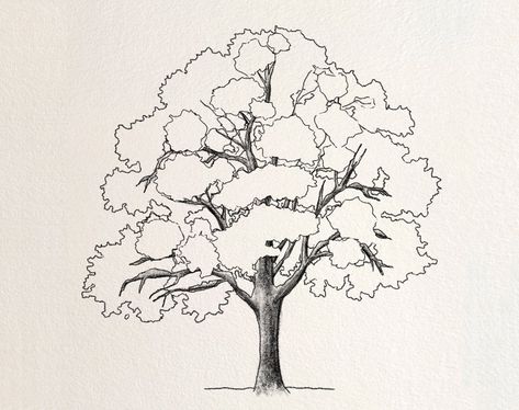 Maple Tree Drawing, Trees Drawing Tutorial, Freehand Sketching, Trees Drawing, Tree Drawing Simple, Pine Tree Drawing, Chamomile Plant, Drawing Tree, Pencil Tree