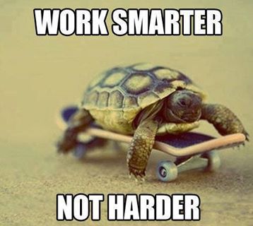 WORK SMARTER NOT HARDER Turtles Funny, Work Smarter Not Harder, Wallpaper Cantik, Entrepreneurship Quotes, Work Quotes Funny, Smarter Not Harder, Hard Quotes, A Turtle, Work Memes