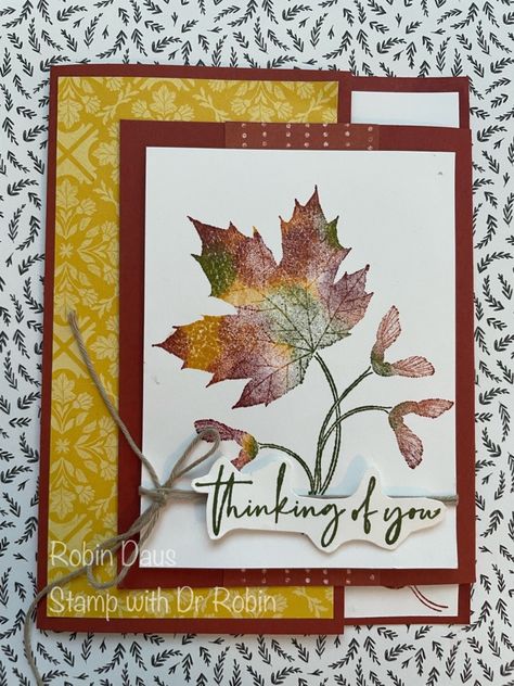 Soft Seedlings, Fall Cards Handmade, Stampin Pretty, Leaf Cards, 2022 Christmas, Hello Cards, Fall Mini, Fancy Folds, Thanksgiving Cards