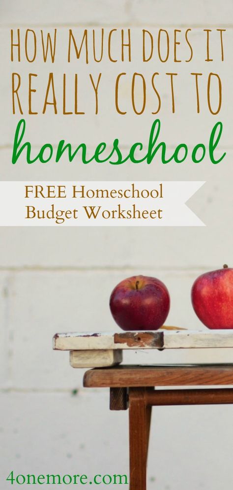 Download this FREE Homeschool Budget Worksheet and get a realistic idea of how much homeschooling will cost your family. Homeschool Budget, Homeschool Worksheets Free, Budget Worksheet, Homeschool Field Trips, High School Curriculum, Homeschool Worksheets, Homeschool Routine, Homeschool Inspiration, How To Start Homeschooling