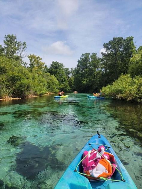 Florida Keys Aesthetic, Flordia Keys, Kayak Florida, Florida Kayaking, Manatees In Florida, Florida Hiking, Bucket List Activity, Kayaking Aesthetic, Florida Pics