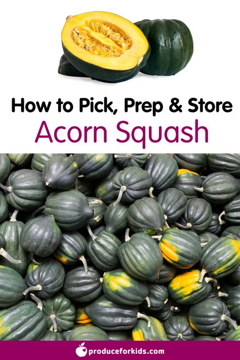 Acorn Squash Recipes, Atkins Diet Recipes, Nutritional Cleansing, Nutrition Store, Healthy Thanksgiving, Vegetable Nutrition, Acorn Squash, Squash Recipes, Proper Nutrition