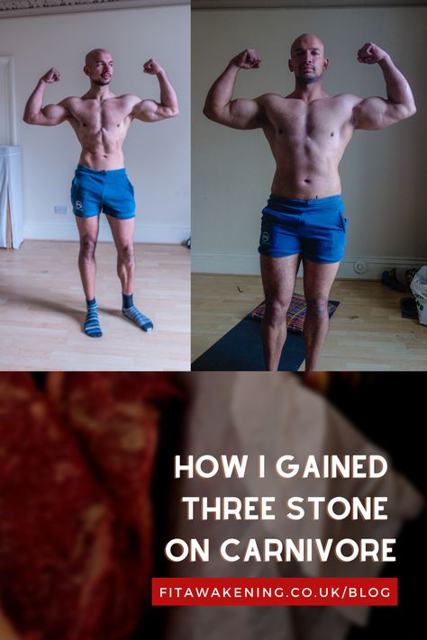 carnivore diet results Buttered Steak, Carnivore Keto, Keto Bodybuilding, Vegetable Diet, Nutrition Science, The Ascent, Carnivore Diet, Throw In The Towel, Diet Guide