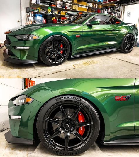 How many #EruptionGreen fans do we have here? Peep those AlphaRex Headlights... available at Steeda! 📸 IG @ motorcity_5.0 Mustang Parts, Ford Mustang Shelby, Luxury Sedan, Mustang Shelby, Car Ford, Whips, Aftermarket Parts, Performance Parts, Ford Mustang