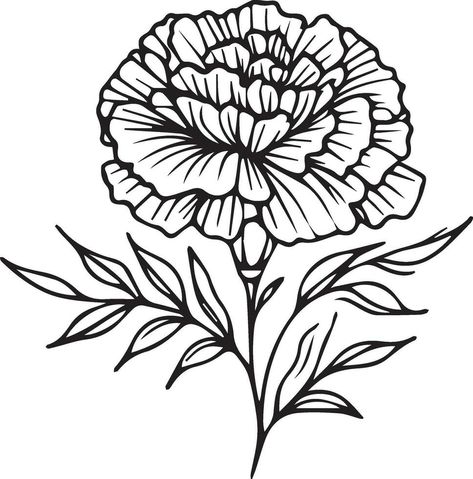 Marigold Line Drawing, Marigold Drawing, Marigold Flower Tattoo, Single Line Drawing, Drawing Simple, Black Tattoo, Marigold Flower, Line Drawings, Single Line