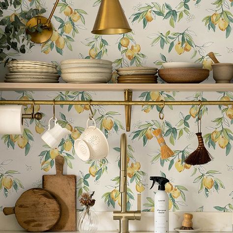 Nothing like sunny lemons in this Lemonade pattern. Where do these go other than your kitchen? #wallpaper #lemonwallpaper #lemons #wallpapers #walldecor Fruit Blossoms, Citrus Wallpaper, Wallpaper Interiors, Strip Wallpaper, Wildflower Wallpaper, Stripped Wallpaper, Modern Mural, A Street Prints, Drops Patterns