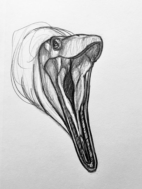 Dinosaur Sketch Realistic, Zombie Dinosaur, Dino Drawing, Prehistoric Animals Dinosaurs, Simple Animation, Dinosaur Sketch, Dinosaur Drawing, Dinosaur Illustration, Ancient Animals