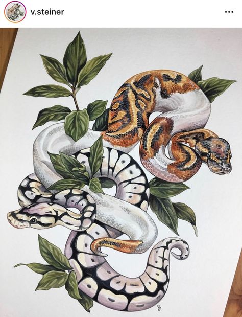 Snake Painting, Snake Drawing, Kunst Tattoos, Leaf Animals, Ball Pythons, Snake Art, Desenho Tattoo, Bay Leaves, Snake Tattoo