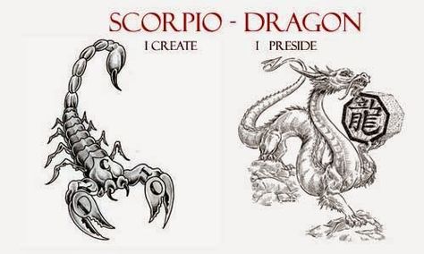 Read the #Scorpio #Dragon Personality Traits : Western and Chinese Zodiac Combination ... About Scorpio, Tiger Zodiac, All About Scorpio, Astrology Scorpio, Dragon Zodiac, The Scorpio, Scorpion Tattoo, Scorpio Quotes, Chinese Astrology